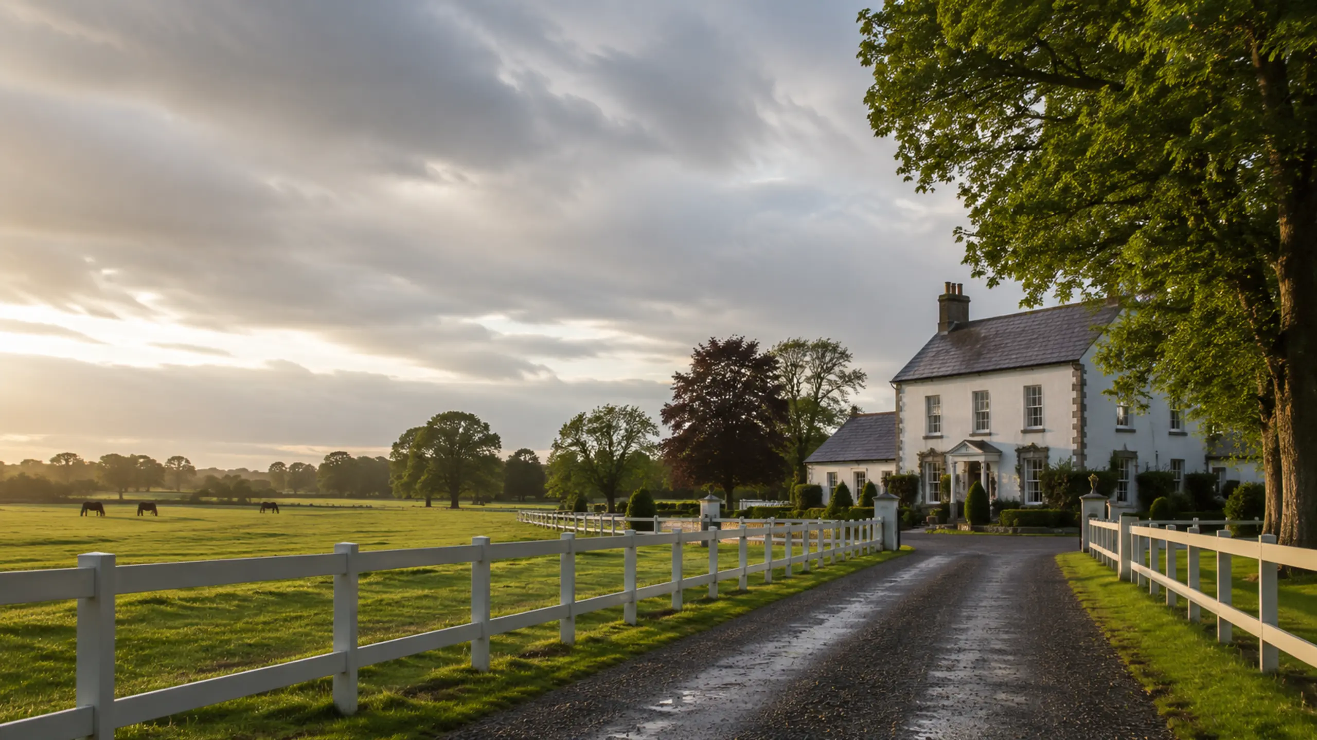 B&B countryside in County Kildare