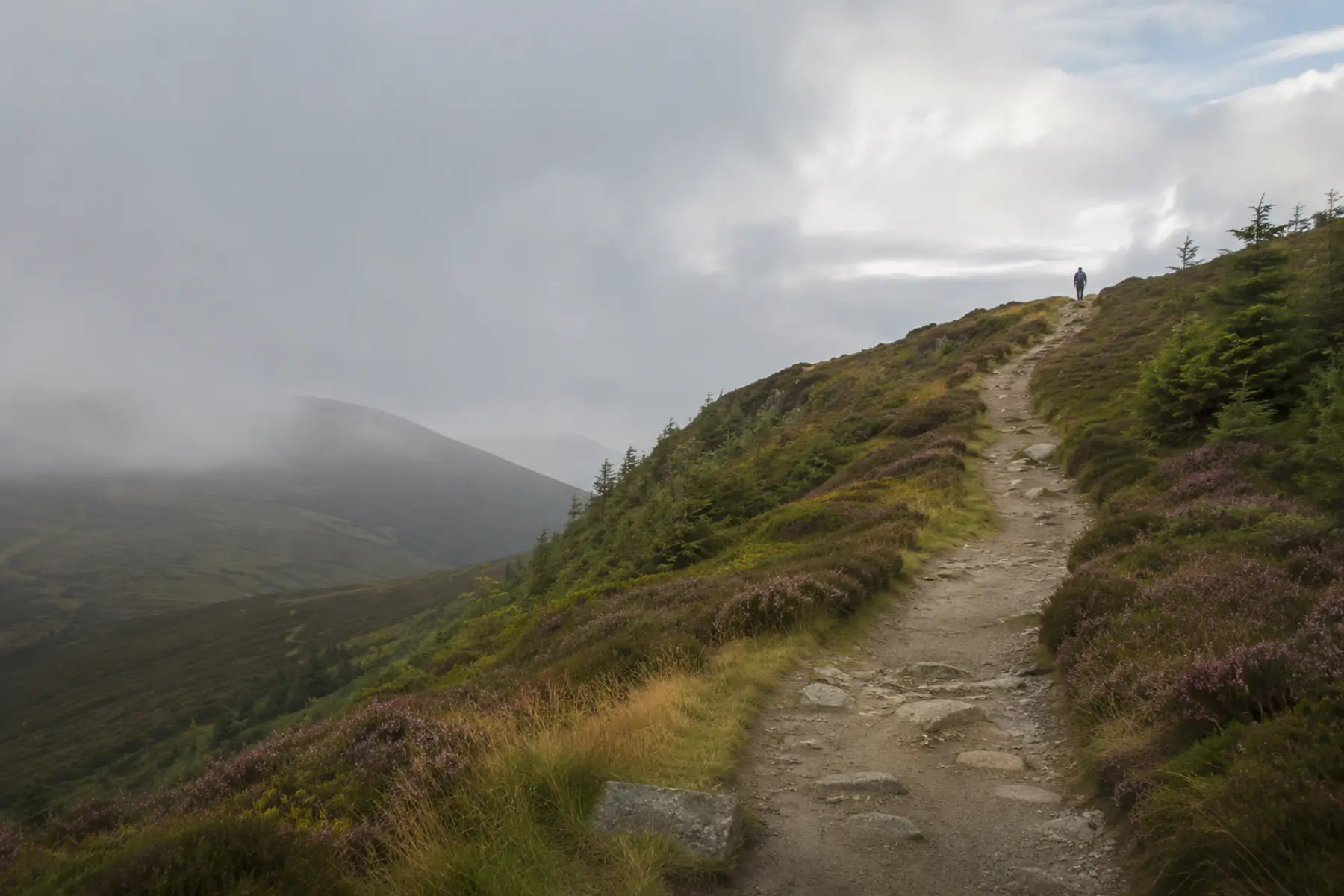 Walking the Wicklow Way
